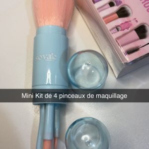 pinceau de voyage